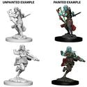 D&D Nolzur s Marvelous Miniatures - Air Genasi Female Rogue Hot on Sale