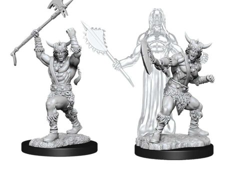 D&D Nolzur s Marvelous Miniatures -  Male Human Barbarian Supply