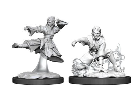 D&D Nolzur s Marvelous Miniatures -  Female Human Monk Online Hot Sale