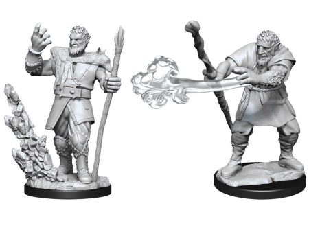 D&D Nolzur s Marvelous Miniatures -  Male Firbolg Druid Online Hot Sale