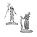 D&D Nolzur s Marvelous Miniatures - Human Female Druid For Sale