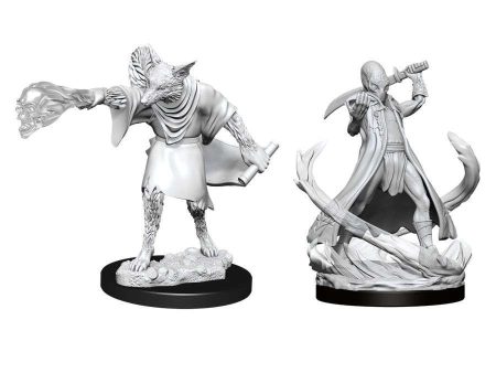 D&D Nolzur s Marvelous Miniatures -  Arcanaloth & Ultroloth For Discount