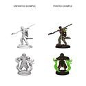 D&D Nolzur s Marvelous Miniatures - Human Male Druid Supply