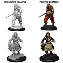 WizKids Deep Cuts Unpainted Miniatures: Pirates Online Sale