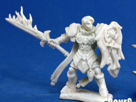 Bones Plastic: Almaran The Gold, Paladin Supply