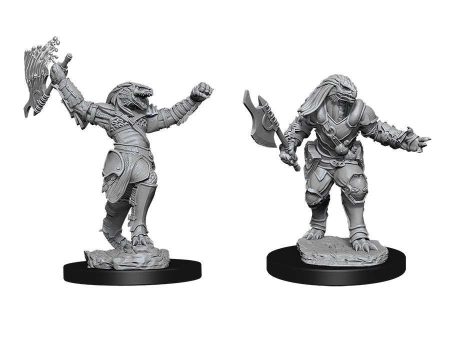 D&D Nolzur s Marvelous Miniatures -  Female Dragonborn Fighter Sale