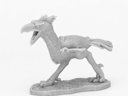 Axebeak (Phorusrhacos) Sale