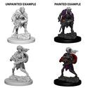 D&D Nolzur s Marvelous Miniatures - Drow Sale