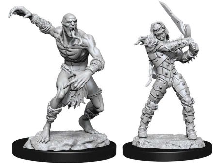 D&D Nolzur s Marvelous Miniatures -  Wight & Ghast Online